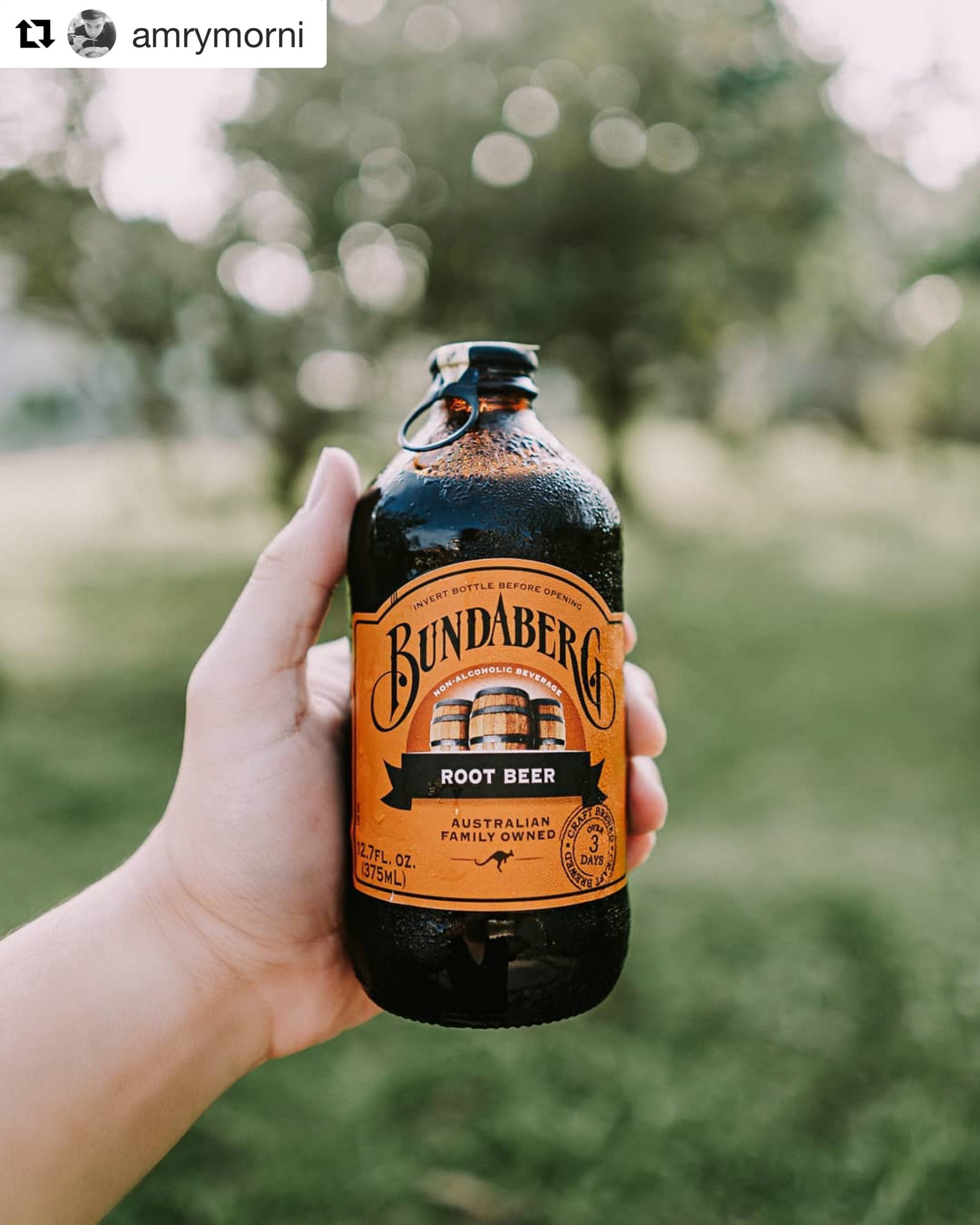 the-difference-between-root-beer-and-sarsaparilla-bundaberg-brewed-drinks